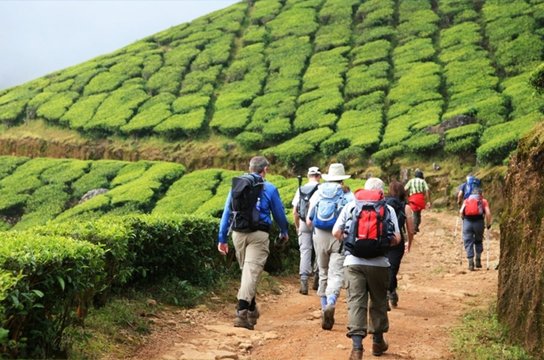 Munnar Hill Station Trekking