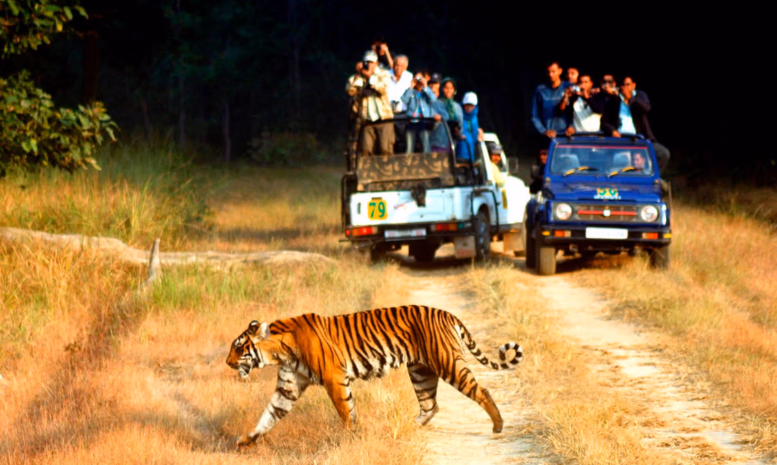 Periyar Wildlife Sanctuary